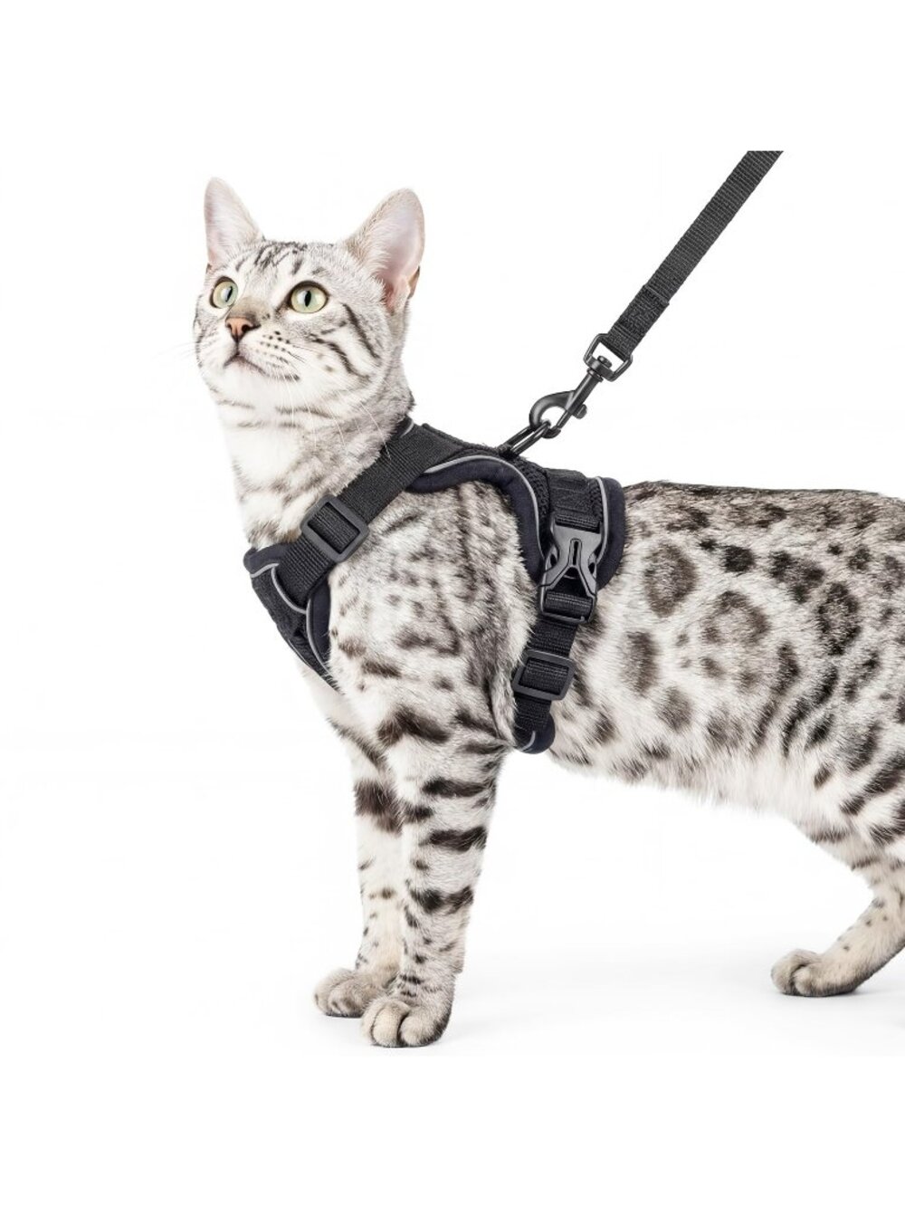 pangdi Cat Harness and Leash Set, Black, XL